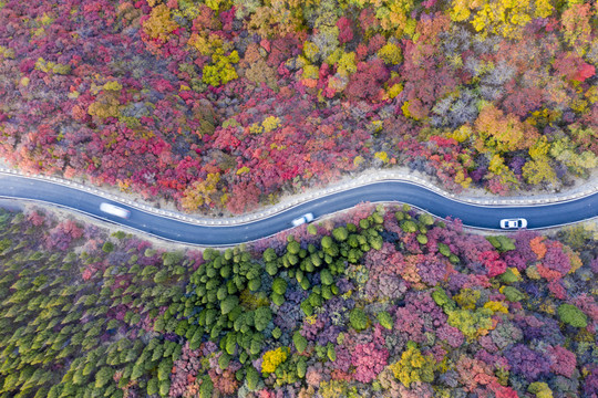 红叶公路