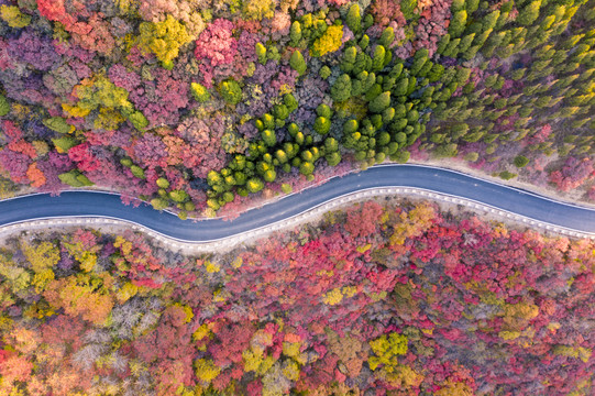 红叶公路