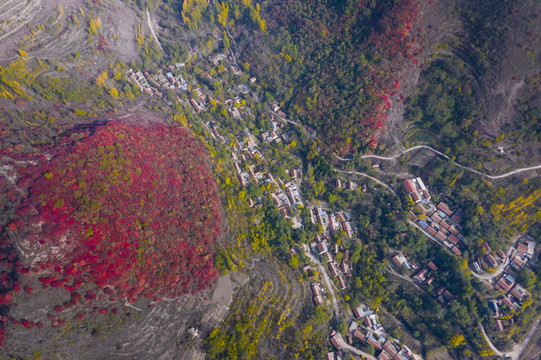 秋天山村