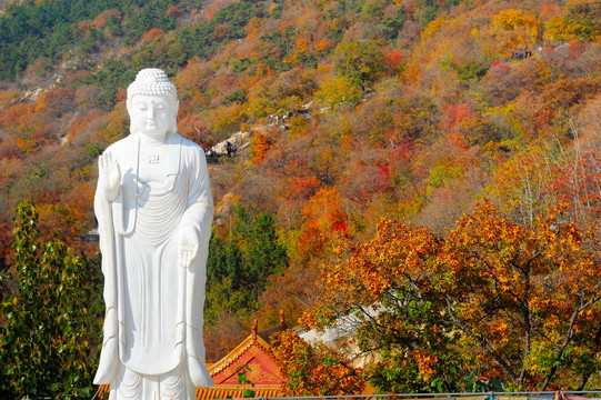 莱州寒同山秋色