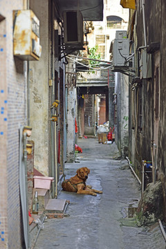 深圳燕川社区老房子