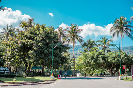 清迈大学