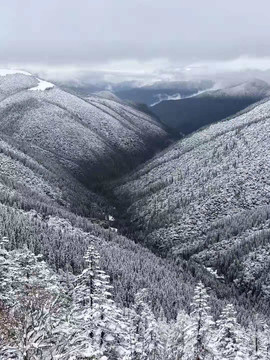 雪景