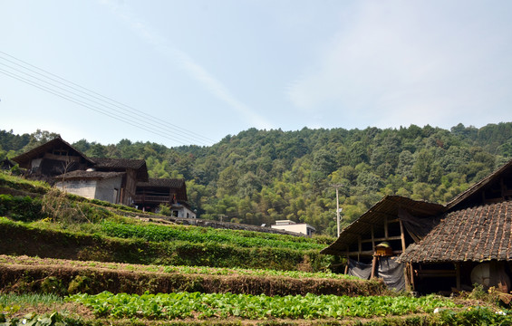 美丽乡村