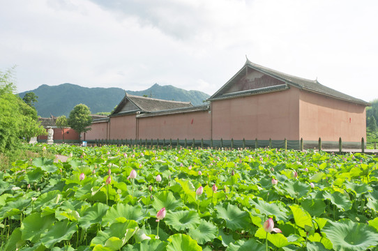 乡间荷塘房子风景