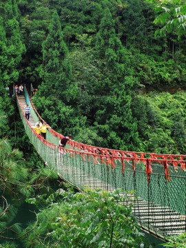 云南红河大围山风光