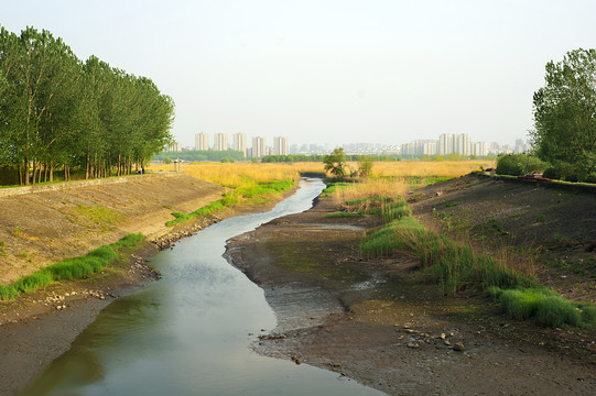 田野溪流