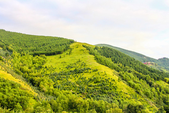 芦芽山