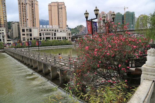 贵州都匀风景建筑桥