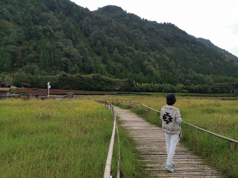 云南腾冲北海湿地公园