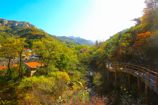 崂山秋景