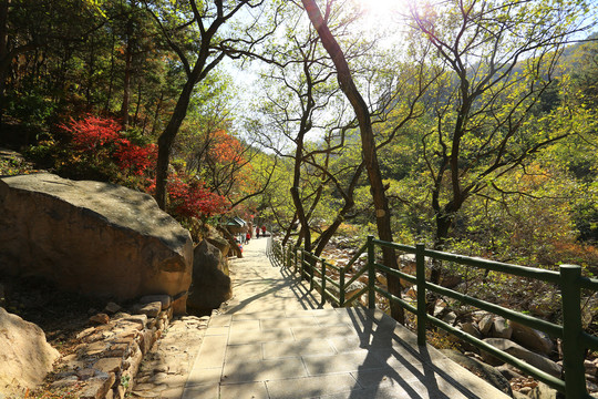 青岛崂山