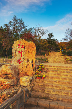 九龙峪国家山地公园红叶岭