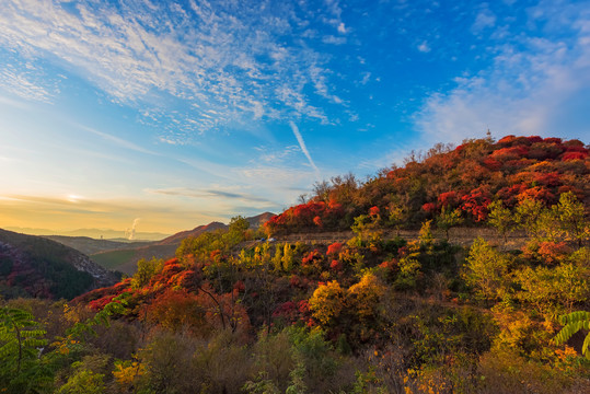 淄博最美公路禹山路