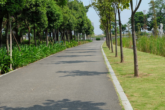 园林道路