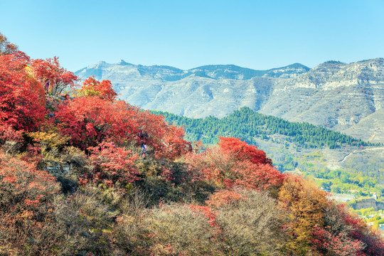 山里秋色