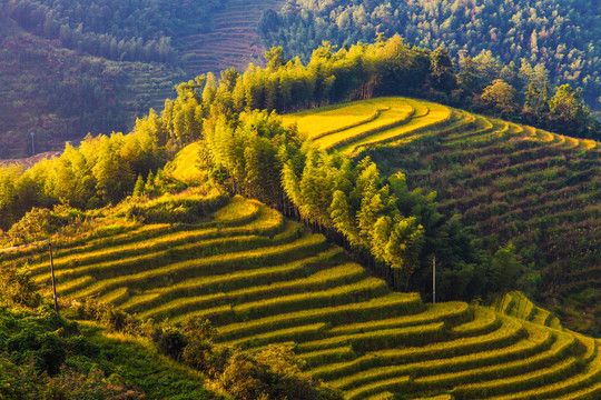 江西崇义上堡梯田风景