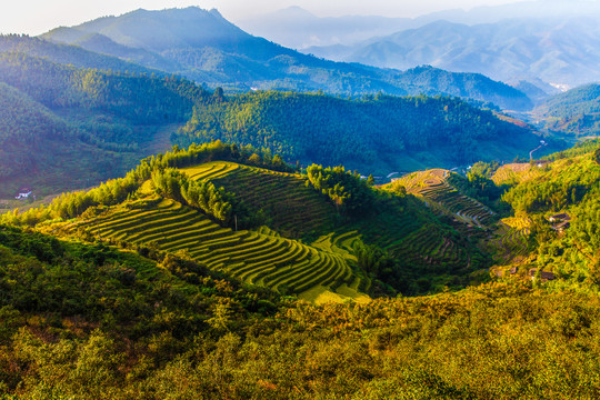 江西崇义上堡梯田风景