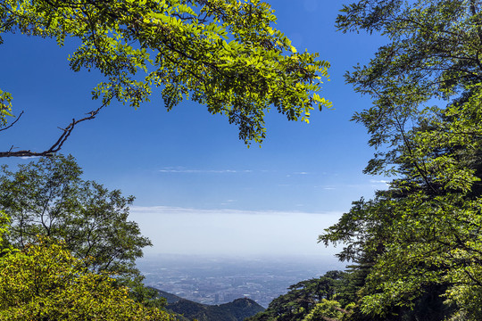 泰山远眺