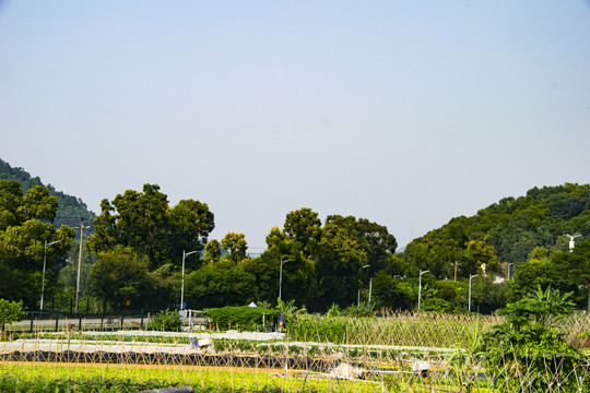 山边风景