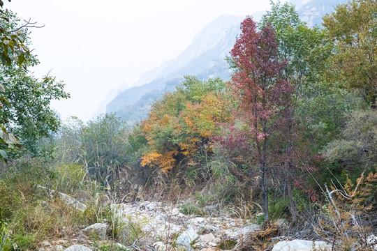 天门山风景区