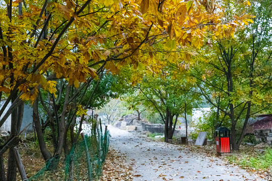 天门山风景区