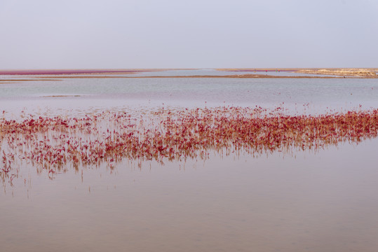 红地毯