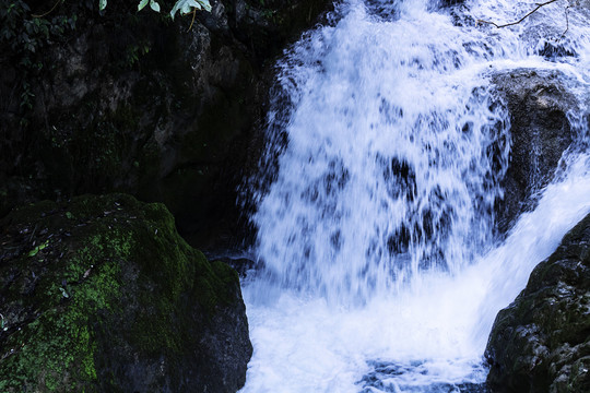 石上流水