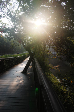 惠州红花湖早晨