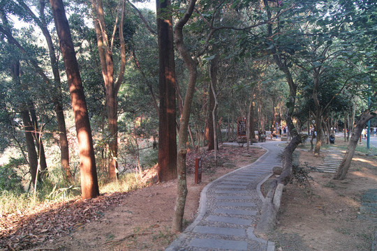 惠州红花湖早晨