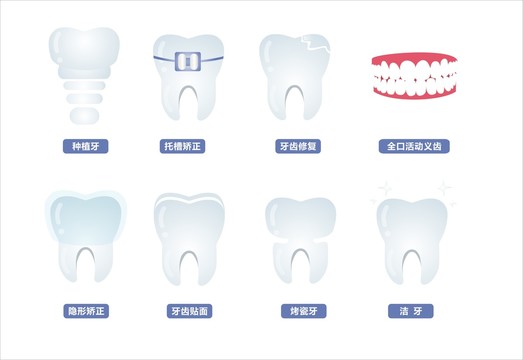 牙齿图标矢量