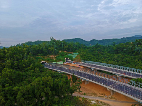 梧桐山隧道