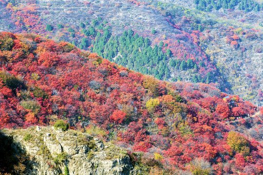 山里秋色