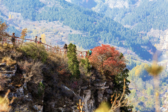 山里秋色