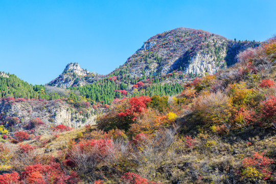 山里秋色