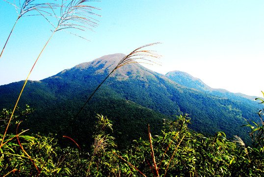 山峰