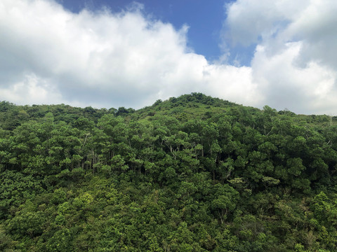 东西冲风景