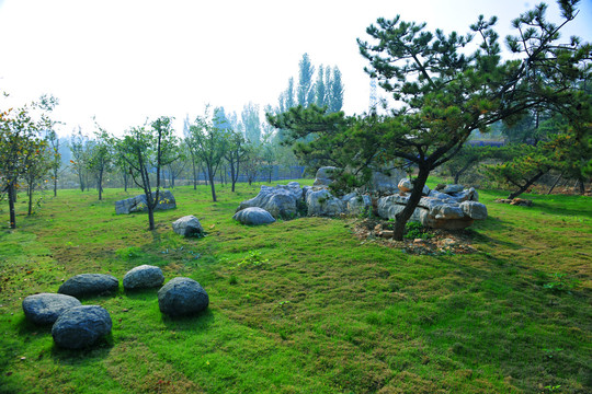 公园绿地石头