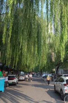 北京交通大学