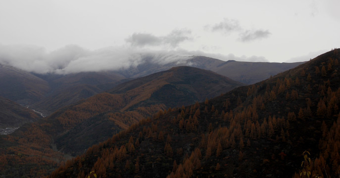 五台山