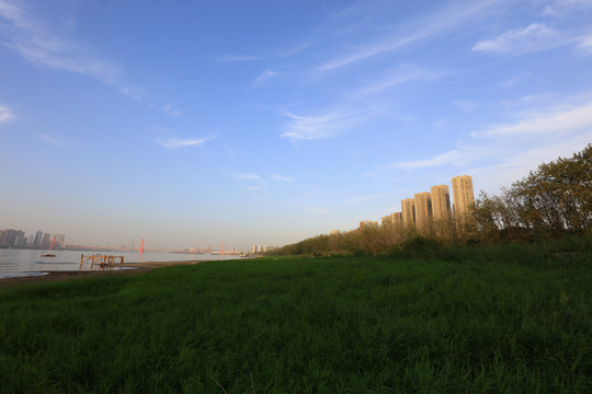 杨泗港长江大桥