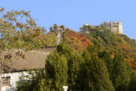 太行山柏尖山风景