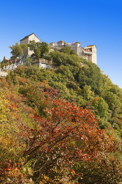 太行山柏尖山风景