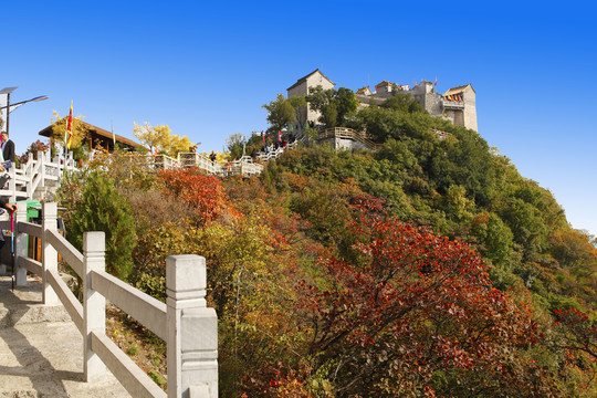 太行山柏尖山风景