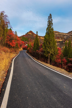 博山禹山路秋景