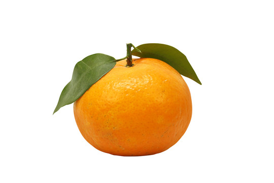 水果橙子橘子