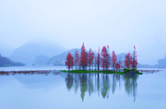 云南文山普者黑冬景