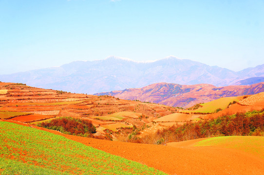 云南昆明东川红土地上帝调色盘