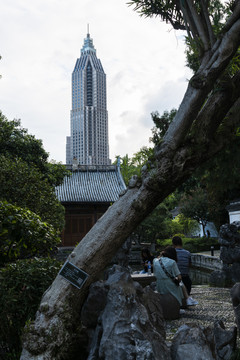 南京街景