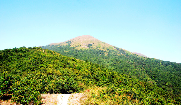 高山秋色